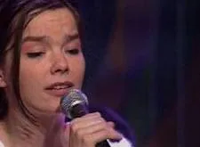 Bjork profile picture