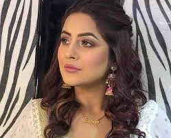 Shehnaaz Kaur Gill profile picture