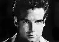 Steve Reeves profile picture