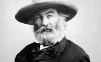 Walt Whitman profile picture